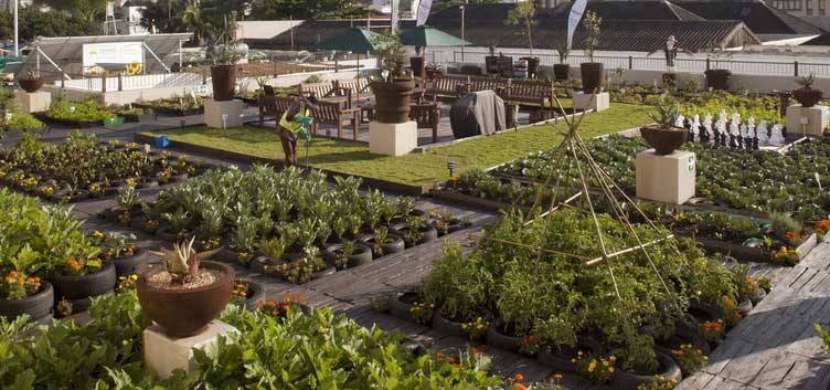 Parveen Premium Products, Rooftop Gardening