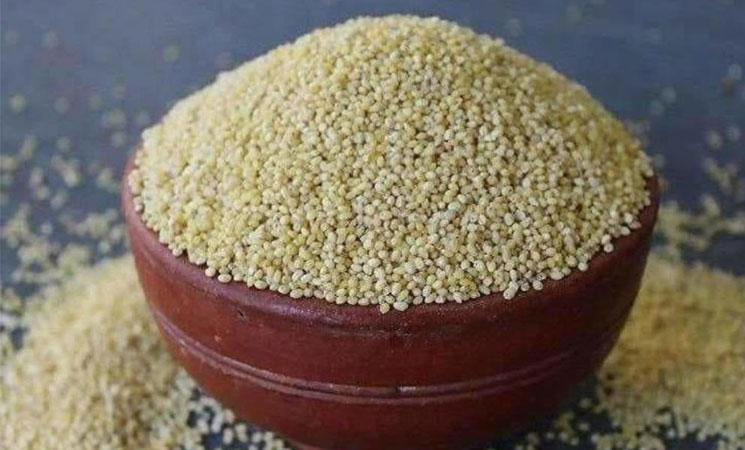 Proso Millet (Baragu)