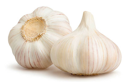 Parveen Premium Products, Garlic