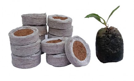 Parveen Premium Products, Coco Plugs 