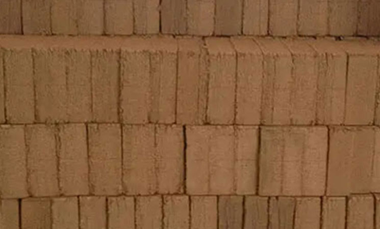 Buffered Cocopeat Blocks